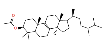 24-Methyl-24-dihydrolanosterol acetate